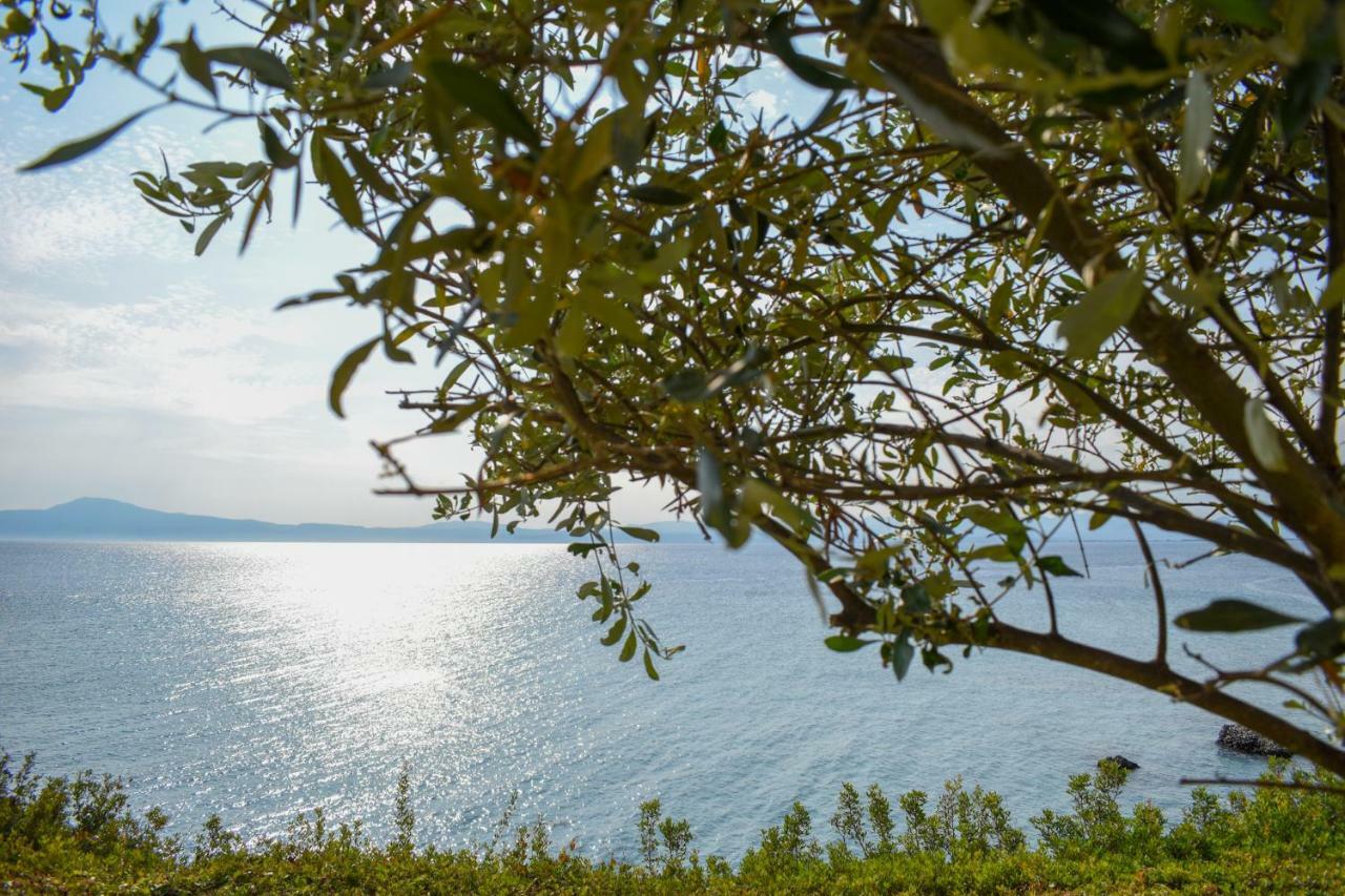 2 Apartment Avia